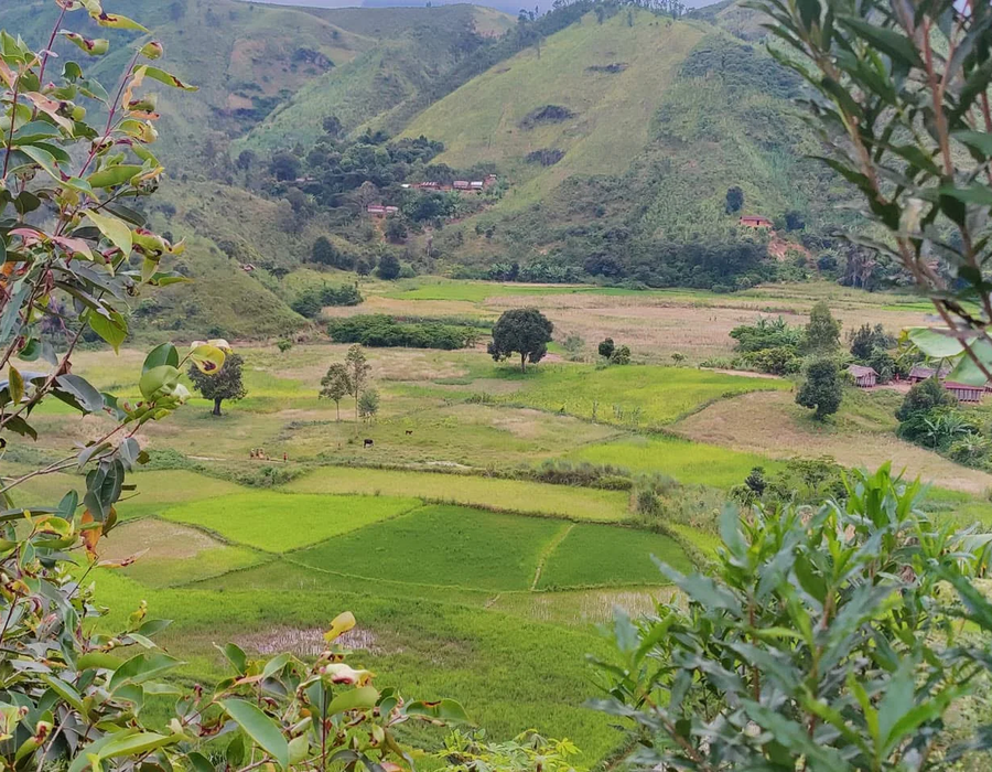 Landscape Main